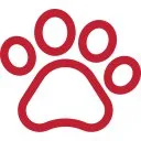 Pets