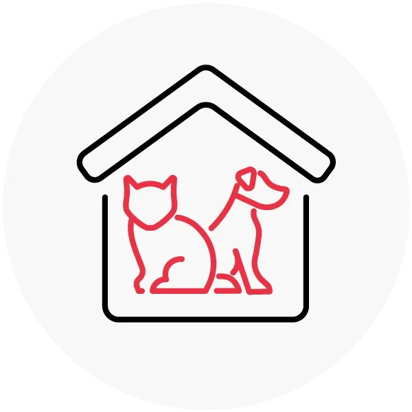 Pets